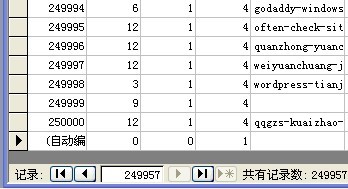 access记录数达到25000条